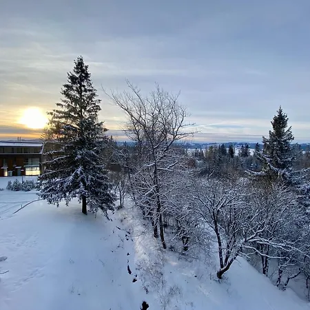 شقة Monte Amnis Štrbské Pleso